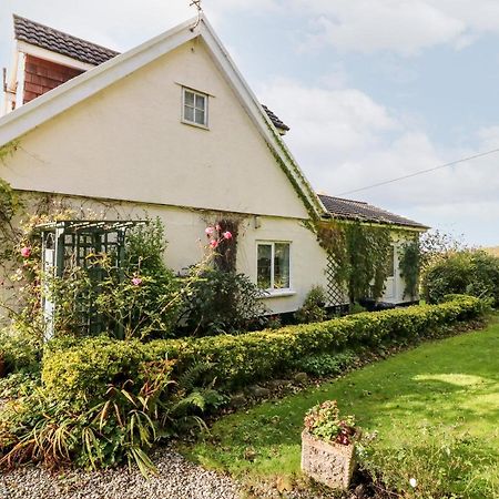 Poughill  Claire'S Cottage מראה חיצוני תמונה