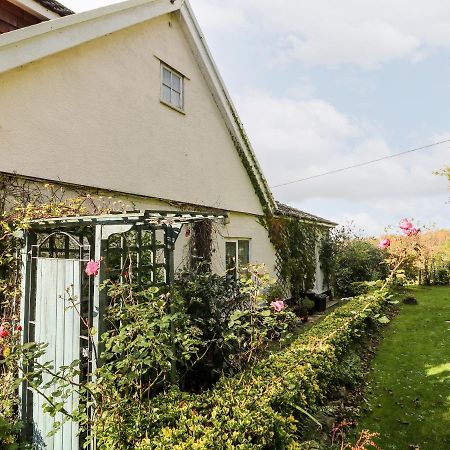 Poughill  Claire'S Cottage מראה חיצוני תמונה